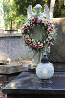 wieniec nagrobny, Palaise Pink