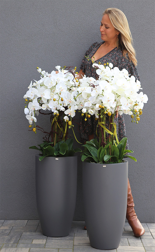 Fiberglass Grande Gray, storczyk w szarej donicy