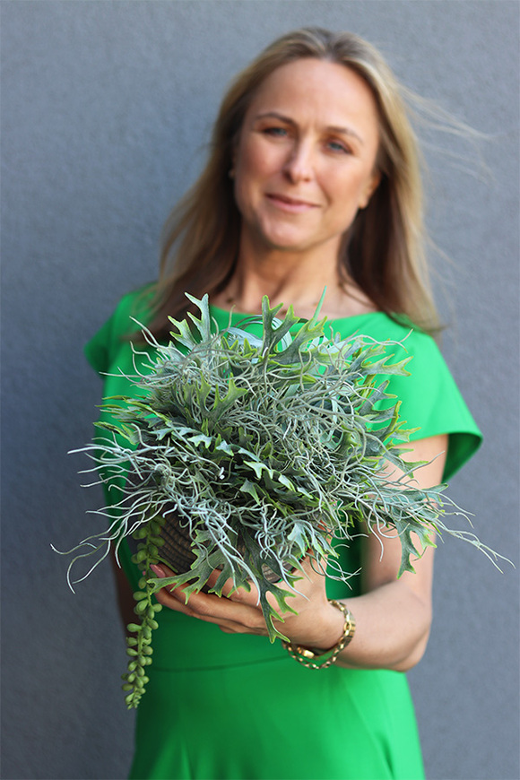 Memo, kompozycja sukulenty w donicy etno