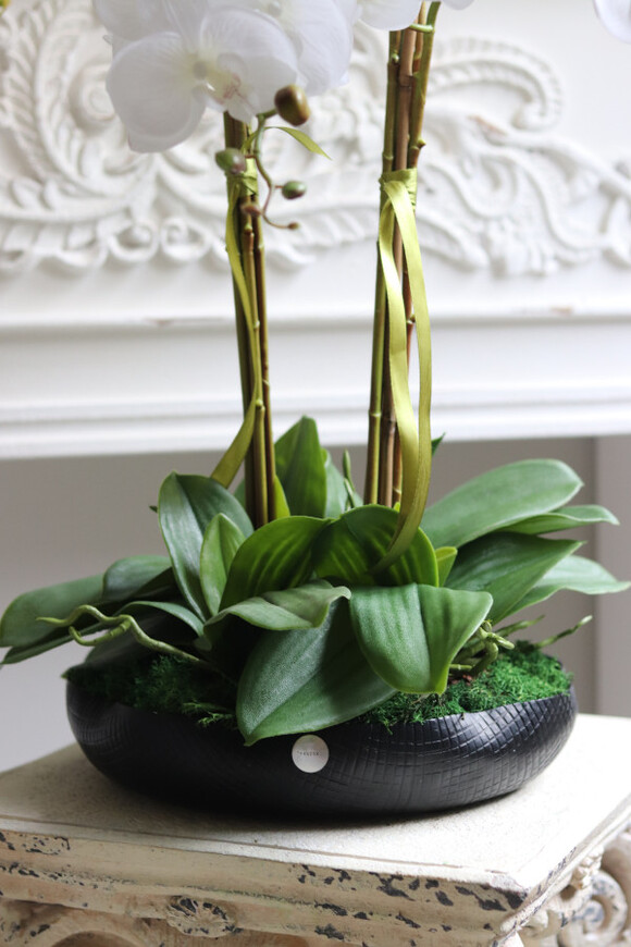 Nero Tallia, sztuczny storczyk w czarnej misie