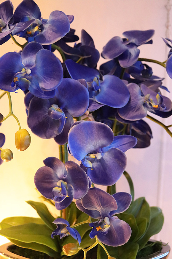 Laos Deep Ocean Blue, sztuczny storczyk w lustrzanej donicy