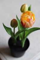 kompozycja z gumowych tulipanów w doniczce