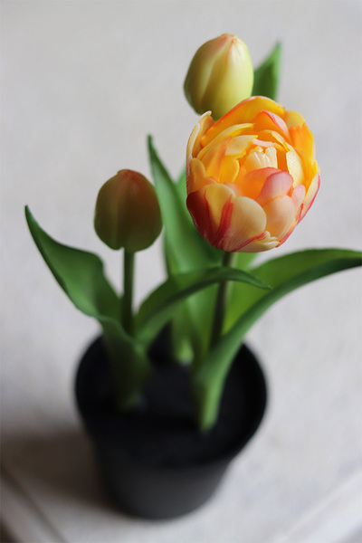 kompozycja z gumowych tulipanów w doniczce