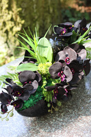 Dekoria Black Laos, kompozycja nagrobna w ceramicznej łódce