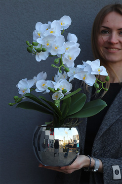 Silveriste Pexel, sztuczny storczyk w lustrzanej donicy, wys.49cm