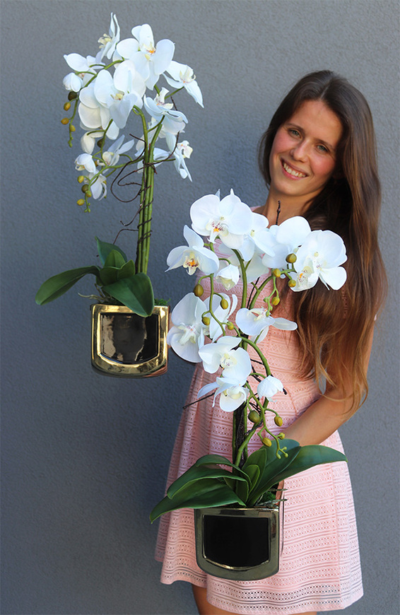 Gold Terra 2, elegancki storczyk w ceramicznej donicy, wys.54cm 