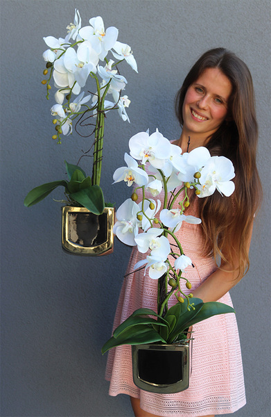 Gold Terra 2, elegancki storczyk w ceramicznej donicy, wys.54cm 