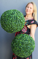 Boxwood, kula bukszpanowa, wysoka jakość, śr.30cm