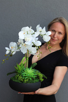 Kleneta Black, storczyk & sukulenty w czarnej misie,wys.54cm