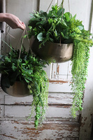 Higero Gold, zielona kompozycja wisząca, wym.42x44cm