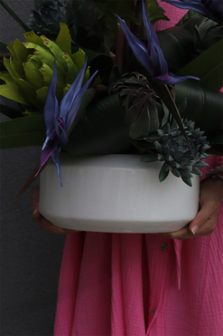 Niebieska Strelicja, egzotyczna kompozycja w donicy, wys.80cm