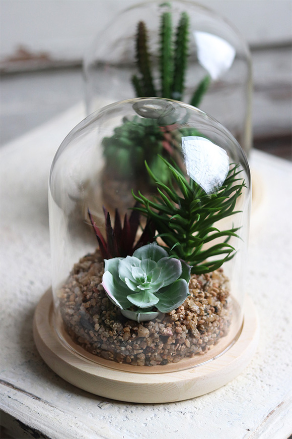 Glasso 2 Sukulenty, ogród w szkle, wym.16x14cm