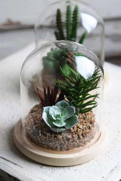 Glasso 2 Sukulenty, ogród w szkle, wym.16x14cm