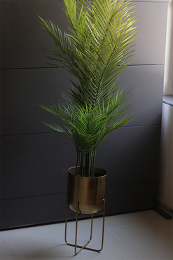 Haiti Gold, sztuczna palma w złotej donicy, wys.156cm