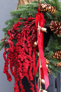 Gwiazdka Nobilis, świąteczny wianek z żywymi gałązkami, śr.50cm