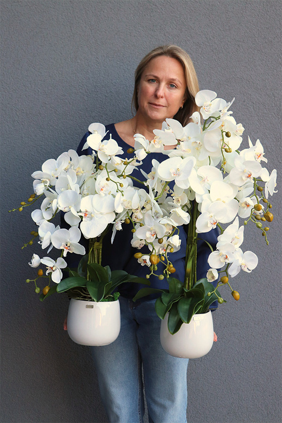 Ferani, biały storczyk w porcelanowym naczyniu, S