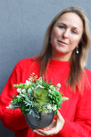 Green Toro Mini, kompozycja sukulenty w lustrzanej donicy