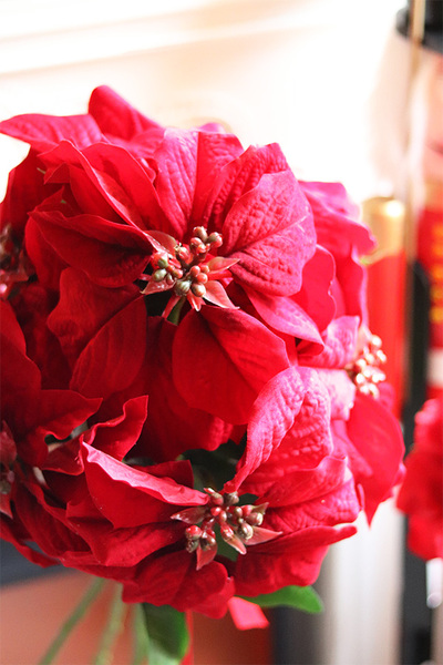 Gwiazda Betlejemska, bukiet kwiatów