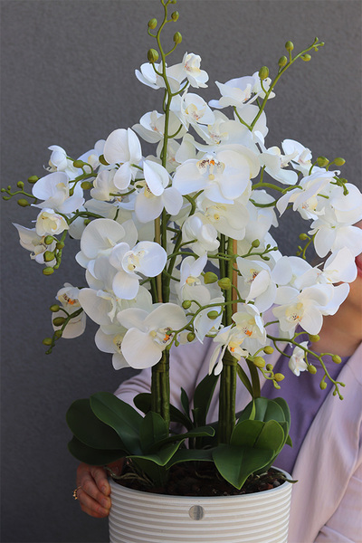 Genova sztuczny storczyk w wysokiej donicy