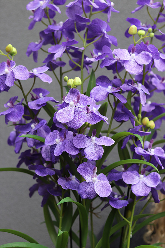 Ambasador Fiolet, duży sztuczny storczyk