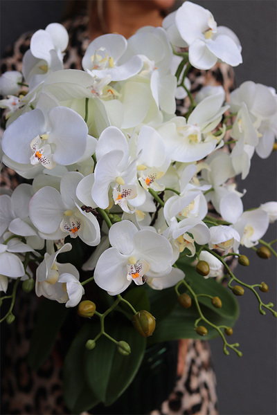 Dark Green Moment, storczyk w granatowej doniczce