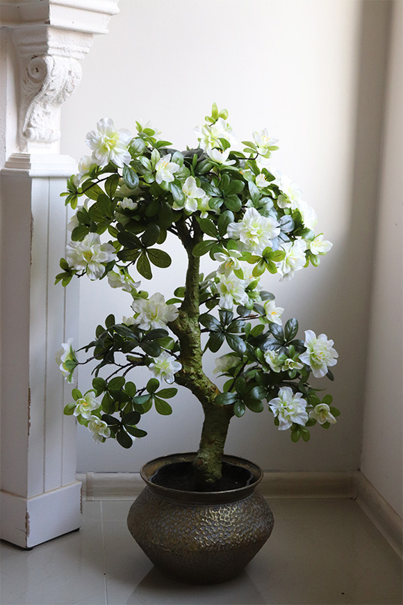 Azalia Bonsai Eduardo, sztuczna roślina w donicy