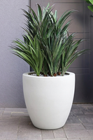 Aloes Cashemere, roślina sztuczna w donicy fiberglass