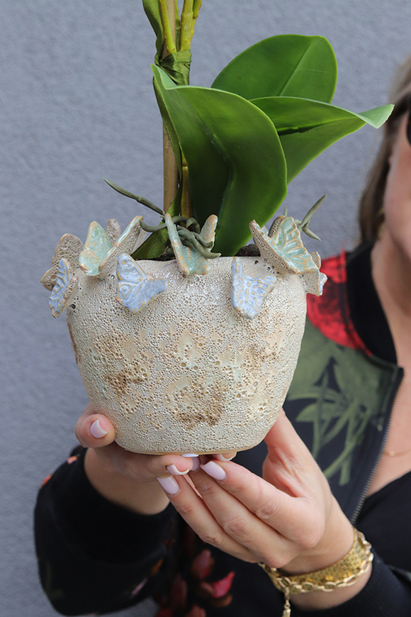 Butterfly Jardin 2, gumowy storczyk w ceramicznej osłonce
