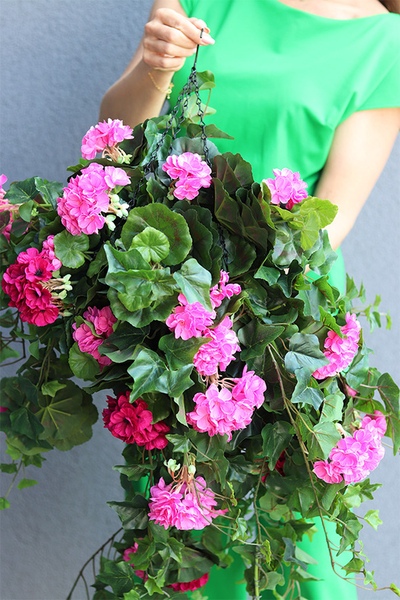 Pelargonia Extra, kwiaty w wiszącej donicy