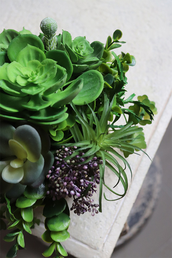 Eco Gestree, kompozycja sukulenty w złotej donicy