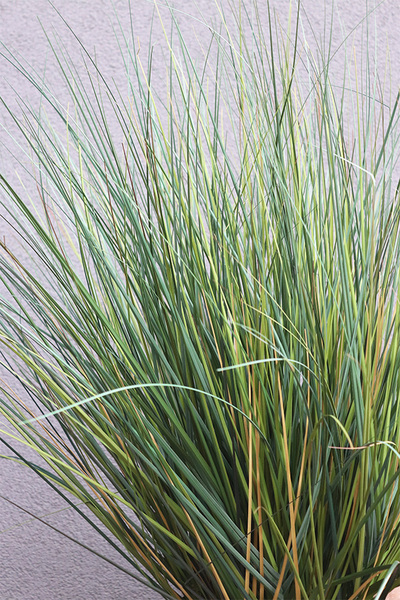 Berrata sztuczna trawa w donicy 