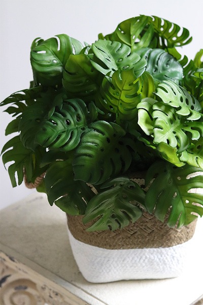 Monstera Boho Basket, drzewko sztuczne w donicy