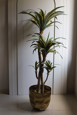 Dracena Deluxe Gold, sztuczna roślina w doniczce, wys.140cm
