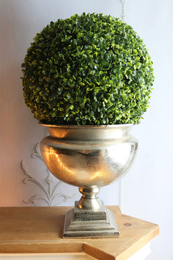 Palazzo Como Deluxe, kula bukszpan w pucharze, wys.54cm  