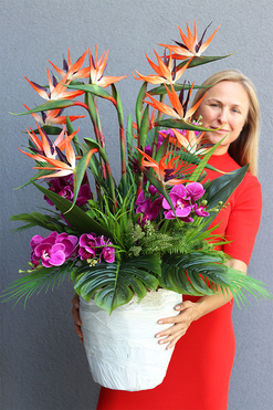 Strelicja&Orchidea Saute, kompozycja kwiatowa XXL do Twojej donicy, wys.102cm 