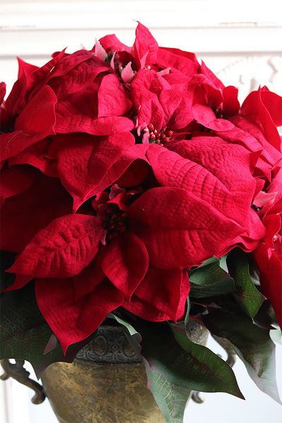 Gwiazda Betlejemska Puchariana, sztuczna roślina w donicy