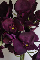 Purple Belia , fioletowy sztuczny storczyk w donicy