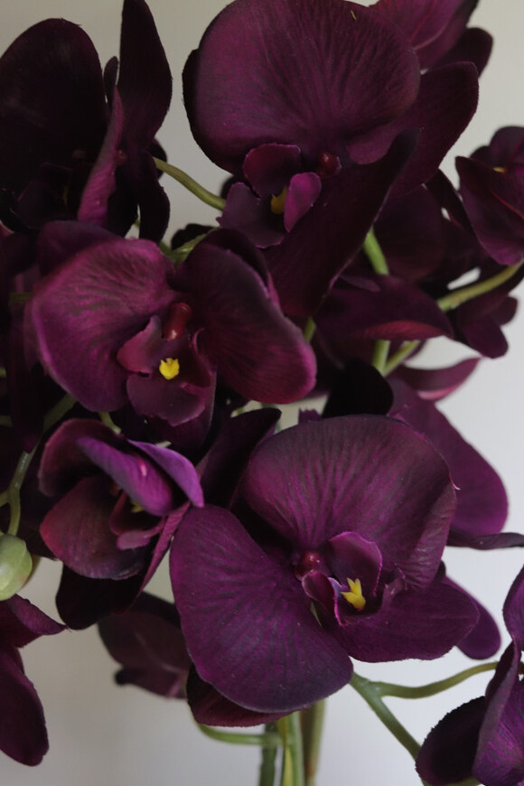 Purple Belia , fioletowy sztuczny storczyk w donicy