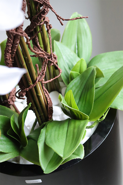 Biała Komnata Grande, biały storczyk w czarnej donicy z fiberglass