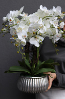 Antique Silver, sztuczny storczyk w donicy