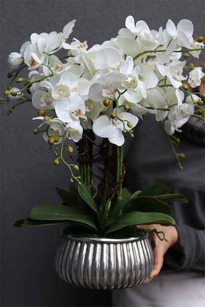 Antique Silver, sztuczny storczyk w donicy