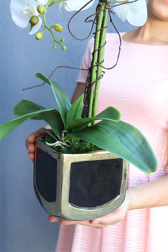 Gold Terra 2, elegancki storczyk w ceramicznej donicy, wys.54cm 