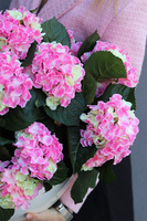 Hortensje Walter donica fiberglass z hortensjami,