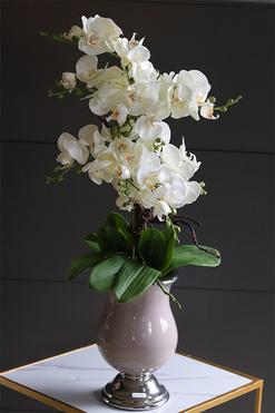 Pucharina Beige, sztuczny storczyk w ceramicznym pucharze, wys.80cm