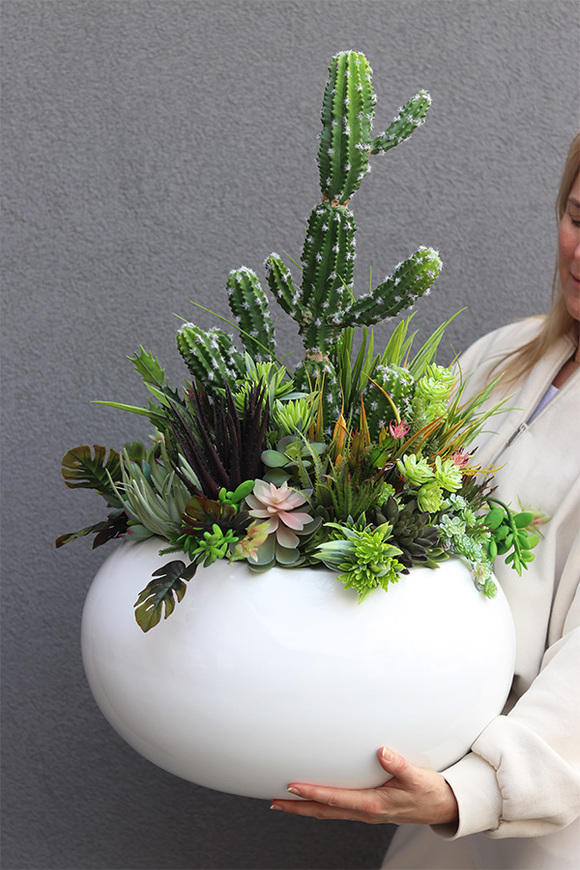 Esperanza Cacti 3 Fiberglass, sukulenty z kaktusem w białej donicy