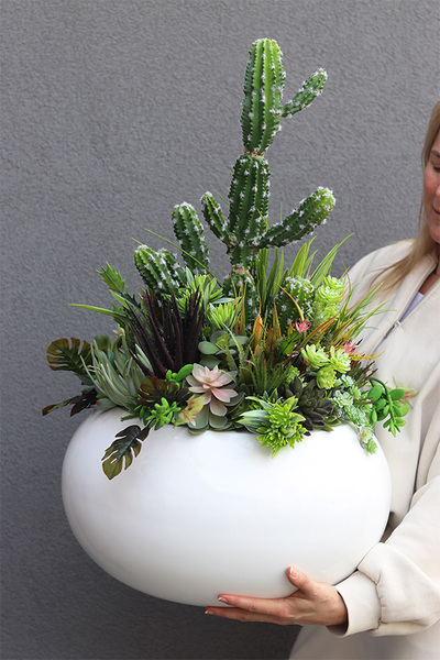 Esperanza Cacti 3 Fiberglass, sukulenty z kaktusem w białej donicy