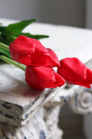 April New, bukiet tulipanów silikonowych Czerwony