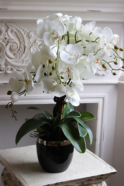 Black Decoris, sztuczny storczyk w czarno-złotej donicy, wys.58cm 