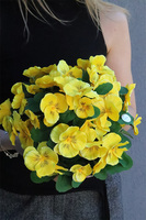 Bratki Yellow, żółte bratki w naczyniu