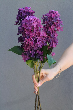 Bzy Deluxe Premium, gumowy bez kwitnący lilak, wiśniowy fiolet, 3szt, dł.50cm